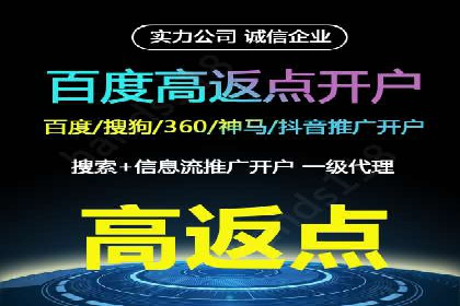 百度竞价广告投放案例解析